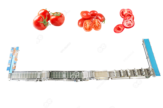 番茄净菜加工设备.jpg
